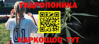 твердый Гулькевичи