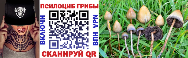 Псилоцибиновые грибы Cubensis как найти закладки Аша
