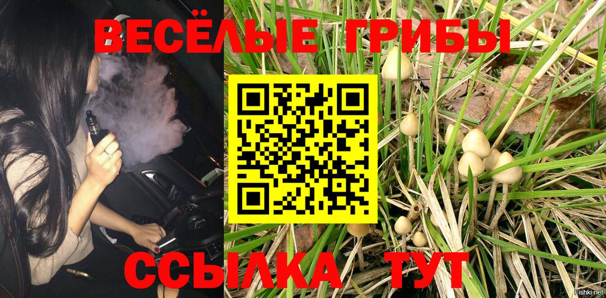 Аша  Псилоцибиновые грибы GOLDEN TEACHER  Вход с VPN 